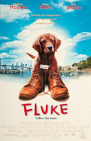 Fluke (1995)