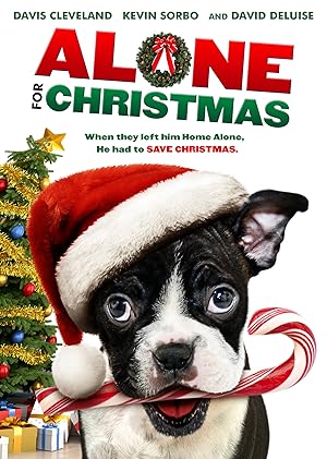 Alone for Christmas (2013)