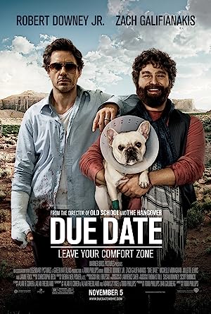 Due Date (2010)