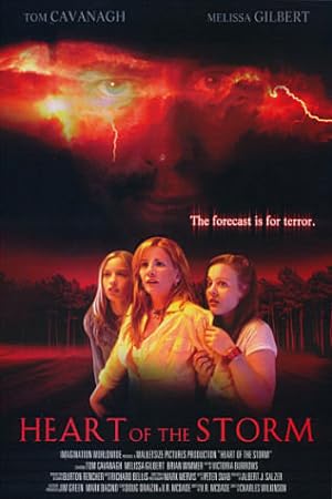 Heart of the Storm (2004)