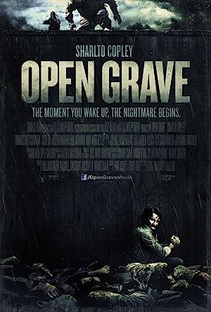 Open Grave (2014)