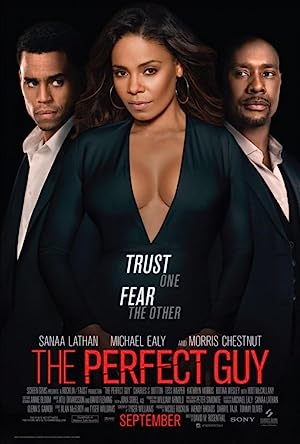 The Perfect Guy (2015)