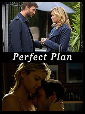 Perfect Plan (2011)