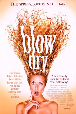 Blow Dry (2001)