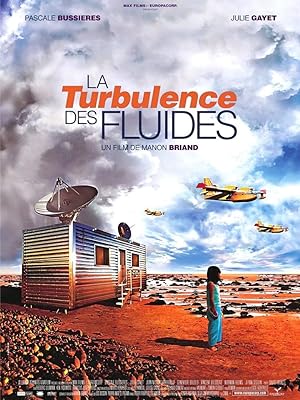 La turbulence des fluides (2002)