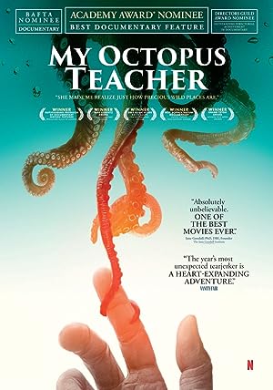 My Octopus Teacher (2020)