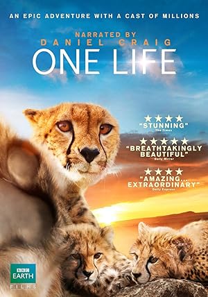 One Life (2013)