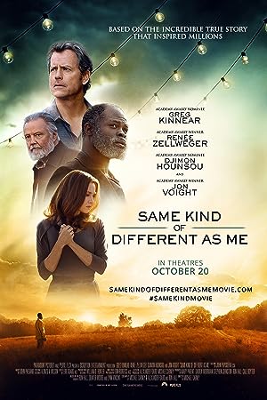 Same Kind of Different as Me (2017)