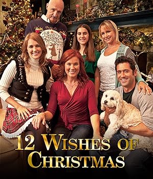 12 Wishes of Christmas (2011)