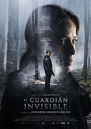 The Invisible Guardian (2017)