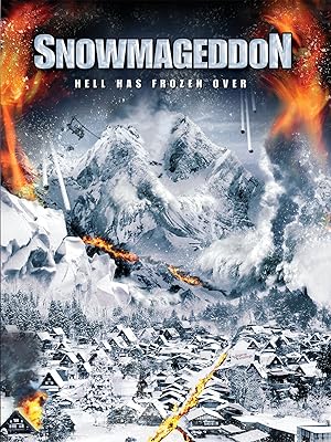 Snowmageddon (2011)