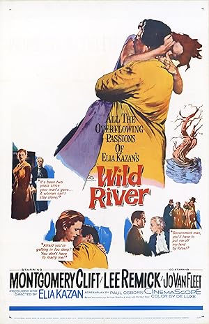 Wild River (1960)