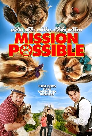 Mission Possible (2020)